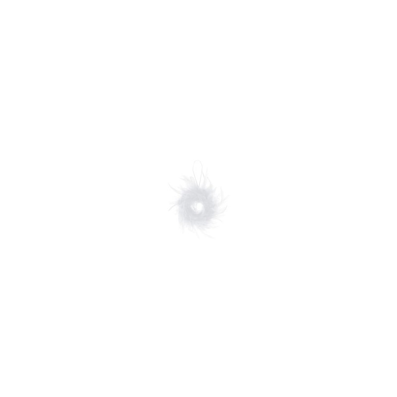 Couronne en plumes, plume, 10 cm, blanc, sachet de 1 pièce Couronne en plumes, plume, 10 cm, blanc, sachet de 1 pièce
