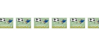 10 fanons goal 5m