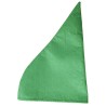 Chapeau de nain, vert, environ 20 cm de diam. Chapeau de nain, vert, environ 20 cm de diam.