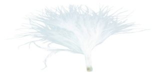 Sachet de 20 plumes blanc