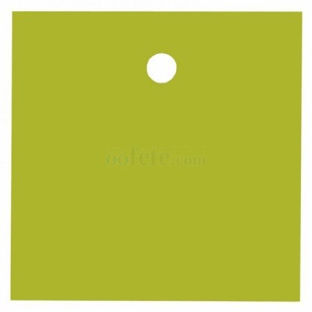 10 Quadratische Tischkartenhalter, kiwi, 4 x 4 cm
