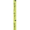 Ruban "Joyeux anniversaire", kiwi, 10 mm x 5 mètres Ruban "Joyeux anniversaire", kiwi, 10 mm x 5 mètres