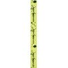 Nastro "Joyeux Anniversaire", kiwi, 10 mm x 5 metri