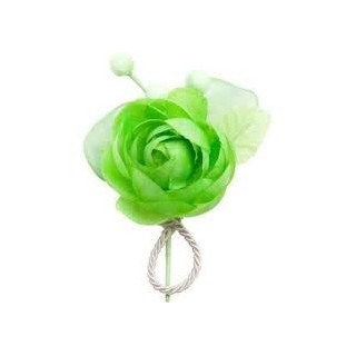 1 testa di fiore con 3 bottoni, anice