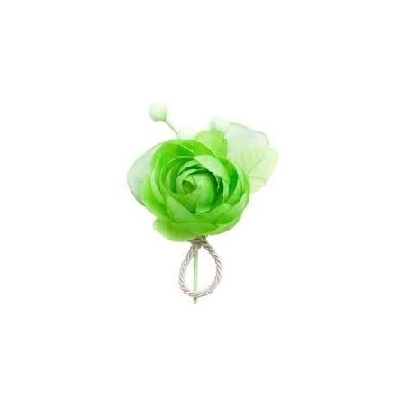 1 testa di fiore con 3 bottoni, anice