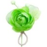 1 testa di fiore con 3 bottoni, anice 1 testa di fiore con 3 bottoni, anice