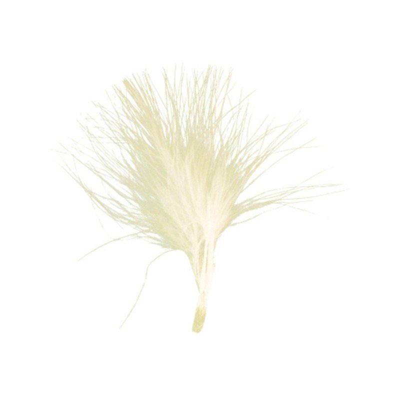 Sachet de 20 plumes ivoire