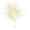 Sachet de 20 plumes ivoire Sachet de 20 plumes ivoire