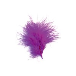 Sachet de 20 plumes framboise