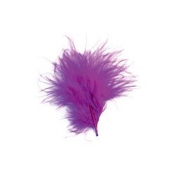 Sachet de 20 plumes framboise