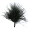 Sachet de 20 plumes noires