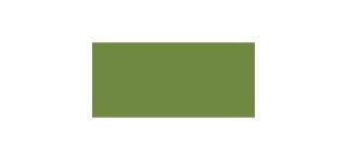 60 Serviettes Dunisoft, 40 x 40 cm 1/4, Leaf Green