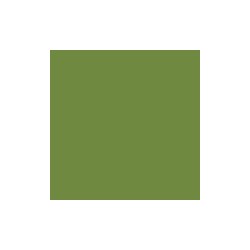 60 Serviettes Dunisoft, 40 x 40 cm 1/4, Leaf Green