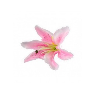 6 rosa tropische Blumen