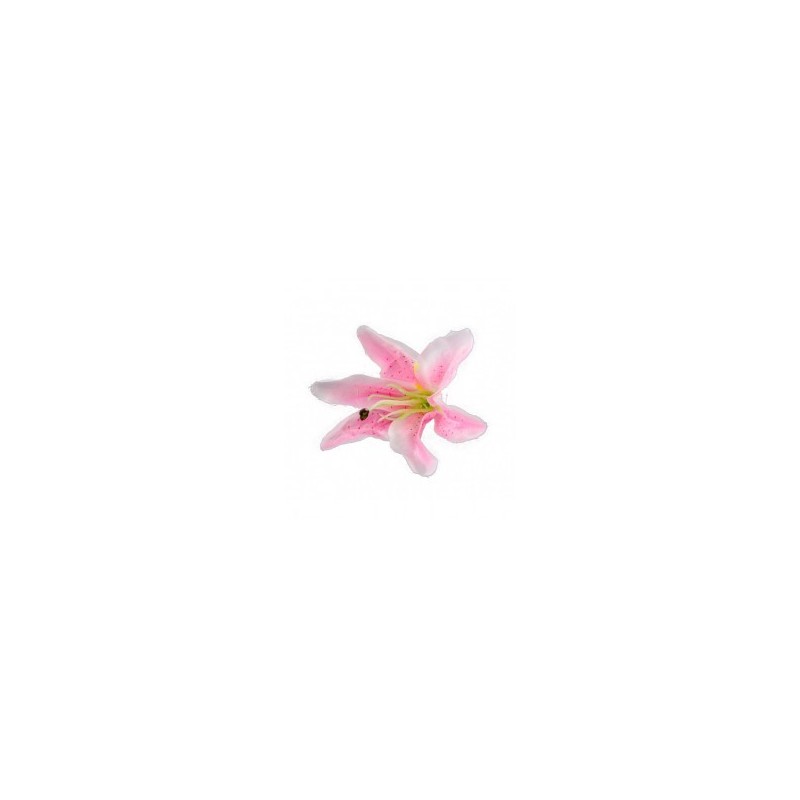 6 Fleurs tropicales roses 6 Fleurs tropicales roses