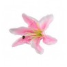6 fiori tropicali rosa 6 fiori tropicali rosa
