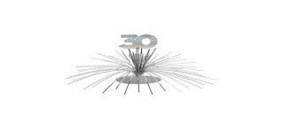 Centre de table " 30 ans", palmier argenté