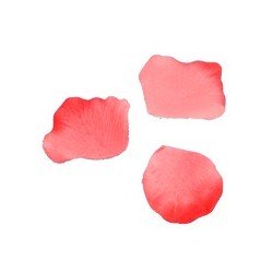 Pétales, 100 pièces, rouge
