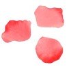 Petali, 100 pezzi, rouge