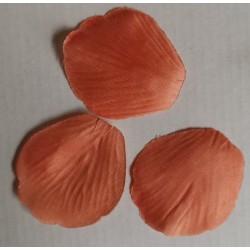 Petali, 100 pezzi, mandarino