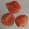 Pétales, 100 pièces, mandarine Pétales, 100 pièces, mandarine
