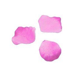 Pétales, 100 pièces, fuchsia