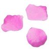 Petali, 100 pezzi, fucsia