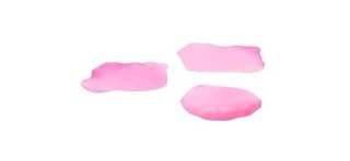 Pétales, 100 pièces, rose