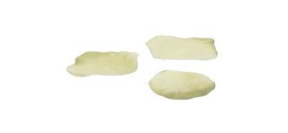 Pétales, 100 pièces, ivoire