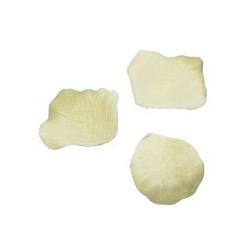 Petali, 100 pezzi, avorio
