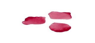 Pétales, 100 pièces, bordeaux