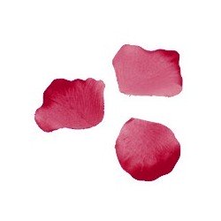 Pétales, 100 pièces, bordeaux