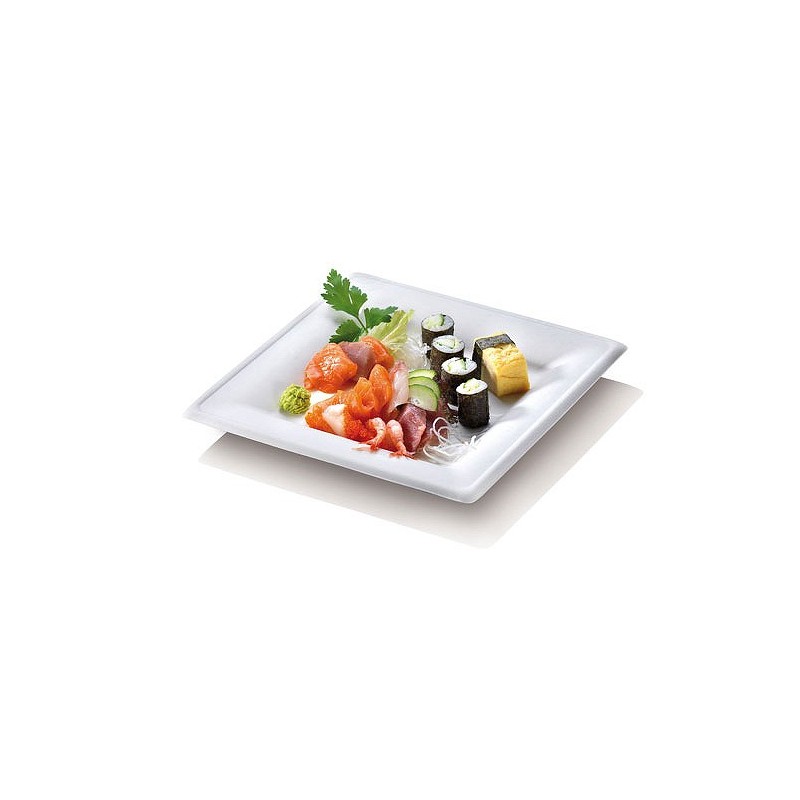 50 Assiettes carrées Karo, canne à sucre, 20 x 20 cm prof. 1,5 cm 50 Assiettes carrées Karo, canne à sucre, 20 x 20 cm prof. 1,5 cm