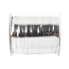 1 nastro Bolduc argento brillante, 25m x 10mm 1 nastro Bolduc argento brillante, 25m x 10mm