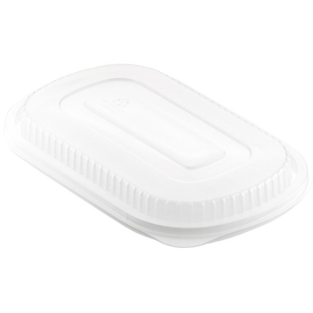 50 Couvercles pour 161182/161179/161180 240 x 150 x 20 mm Transparent