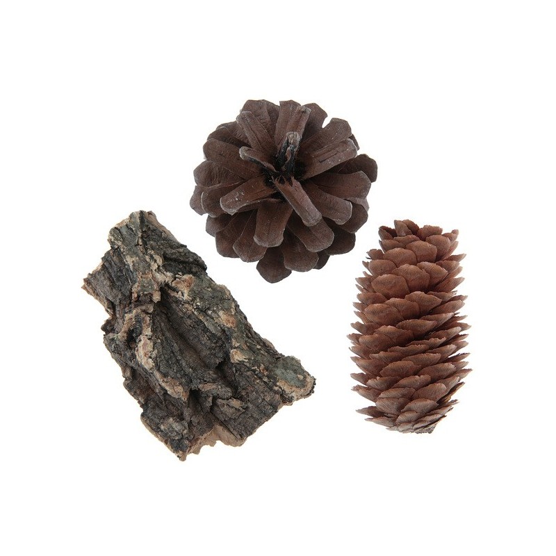 9 pcs d'assortiment nature, bois 9 pcs d'assortiment nature, bois