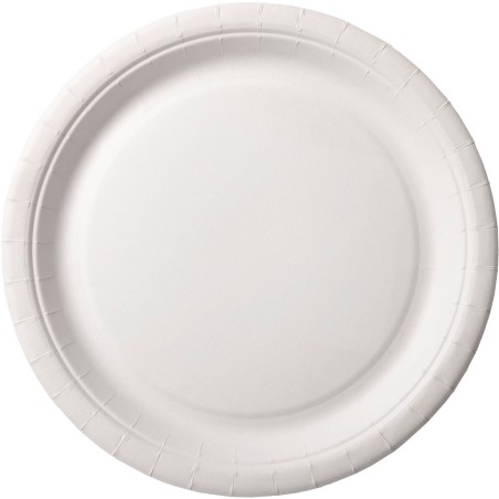 100 Assiettes en carton Ø 22cm 