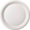 100 Assiettes en carton Ø 22cm  100 Assiettes en carton Ø 22cm