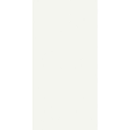 250 Serviettes ouate 33 x 33 cm Blanc 2 plis