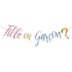 1 Guirlande Gender Reveal Fille ou garçon ? 2,5m