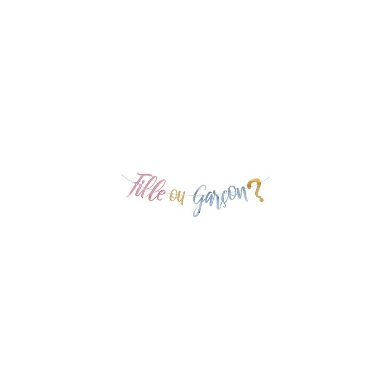 1 Guirlande Gender Reveal Fille ou garçon ? 2,5m 1 Guirlande Gender Reveal Fille ou garçon ? 2,5m