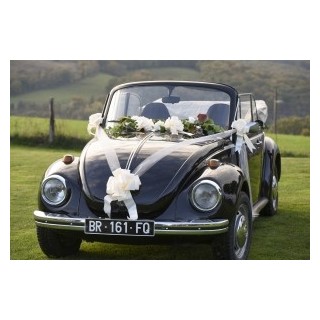 Kit mariage (1 bobine de ruban tulle, 4 petits noeuds polypro automatique