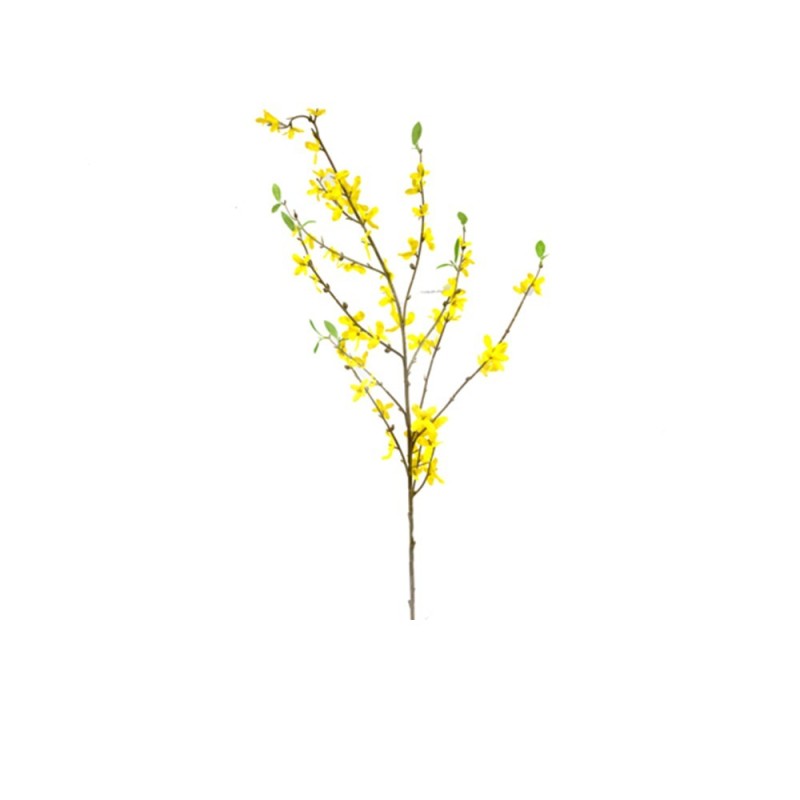 Forsythia avec feuilles 95cm Forsythia avec feuilles 95cm