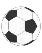 Foot