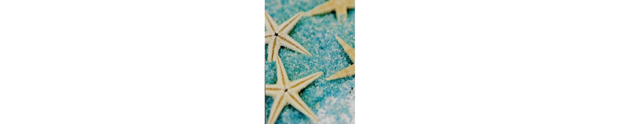 Meer