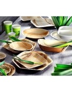 Vaisselle jetable biodégradable palmier