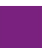déco, vaisselle, articles, lilas, violet