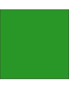 Verde, kiwi