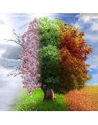 Nos articles des 4 saisons