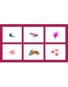 Oiseaux-Fleurs